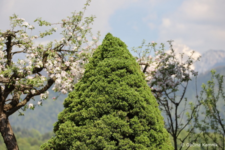 Praznik razvoja v Tunjicah (7)